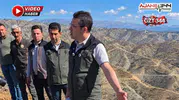 Cabaroğlu: "Yanan ağaçların değeri tamamen kaybolmuyor"