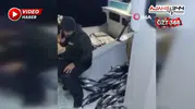 5 Bin Palamut Tekneye Sığmadı, Yardım Teknesi Geldi