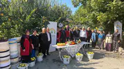 Kahramanmaraş’ta ayva üreticilerine ürün kaybını azaltacak destek