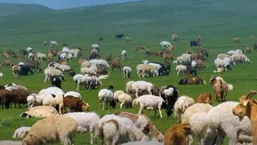 Kırsal Alanda Bereket Programı için Başvurular 30 Nisan'da Sona Eriyor!