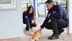 Kahramanmaraş'ta Sokak Hayvanları İçin Farkındalık