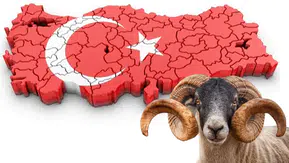 Bayramda Yoğun Güne Ara: Tatil Keyfi Başlıyor!