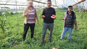 Çekirdek Karpuz Tezgahlarda Satışa Başladı