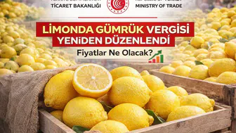 Limon İthalatında Vergi Kararı Değişti! Fiyatlar Ne Olacak?