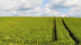 2,7 Dönümlük Arazi İçin İhale Süresi Başladı