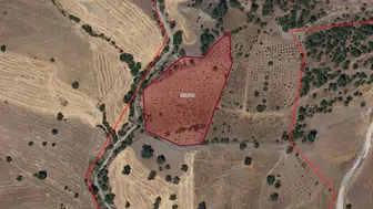 Pazarcık'ta Tarımsal Arazi İcrası 4,5 Milyon TL'den Başlıyor