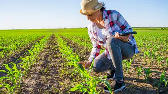 Çiftçiye büyük destek kapısı açıldı: Yüzde 70 hibe için başvurular başladı