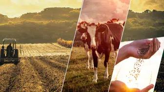 Çiftçilere 17,4 Milyar TL'lik Tarımsal Destek Ödemeleri Yapıldı!