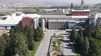 "Şeker Pancarı: Tarımın Temel Taşı"