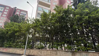 Soruşturma Derinleşti: Konutta İnceleme Yapıldı