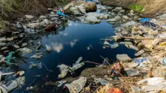 Prof. Dr. Ünüsan: Mikroplastik Sorununa Bitki Tabanlı Çözümler Umut Vadediyor, Ancak...