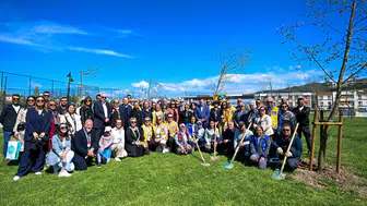 "Yetişkin Ağaçlar Toprakla Buluşarak Doğaya Can Verdi!"