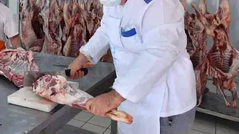 Kurban Kesimi Uzman Kasaplardan Talep Edilmeli!
