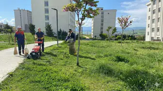 Gençler Toprağa Dokunuyor: Yurt Bahçeleri Çiçek Açıyor