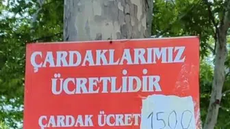 Kahramanmaraş Fırnız'da Bayramda Çardak Fiyatı Tartışması
