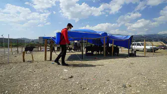 Kahramanmaraş’ta Bayram Temizliği ve İlaçlama Mesaisi