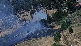 Kahramanmaraş'ta Orman Yangını Ekiplerin Hızlı Müdahalesiyle Söndürüldü