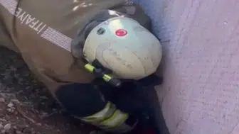 Moloz Altında Kalan Yavru Kedi Ekiplerce Kurtarıldı