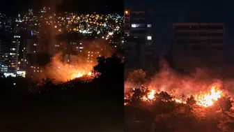 Kahramanmaraş'ta Ormanlık Alanda Yangın!