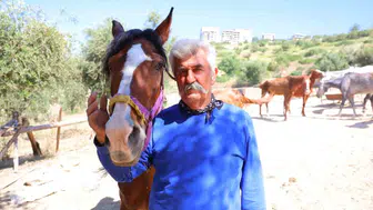 Kahramanmaraş'ta Kaçan Atlar Geceyi Birbirine Kattı!