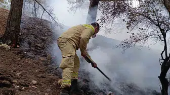 Kahramanmaraş’ta Yıldırım Yangınının Bilançosu