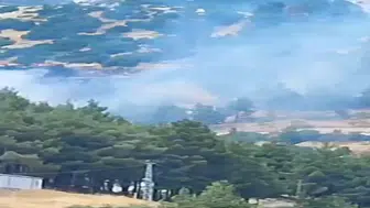 Kahramanmaraş Kuzey Çevre Yolu’nda Orman Yangını