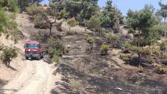 Kahramanmaraş’ta Orman Yangını Kontrol Altında