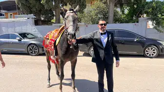 Atla Gelin Almaya Giden Damadın Planını Trafik Bozdu