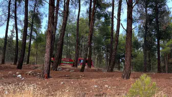 Kahramanmaraş’ta Orman Yangını: Havadan ve Karadan Müdahale