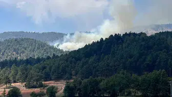Kahramanmaraş’taki Orman Yangını Kontrol Altına Alındı