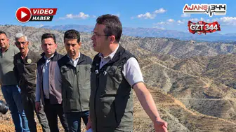 Cabaroğlu: "Yanan ağaçların değeri tamamen kaybolmuyor"