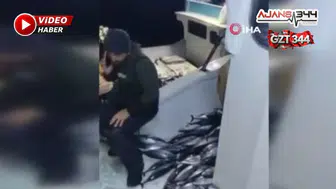 5 Bin Palamut Tekneye Sığmadı, Yardım Teknesi Geldi