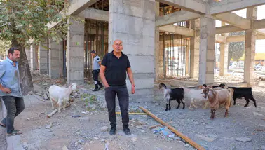Kahramanmaraş’ta Esnafın Bulduğu 9 Keçinin Sahibi Aranıyor