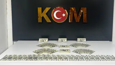 Bodrum'da sahte para operasyonu: 46 bin 200 dolar ele geçirildi
