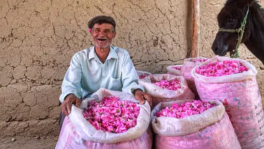 Burdur’un Dağ Köylerinde Gül Hasadı: Bahçeden Gül Yağına