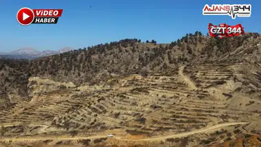 OBM'den 1.500 Kilometre Teras, 1 Milyon Fidan Hedefi