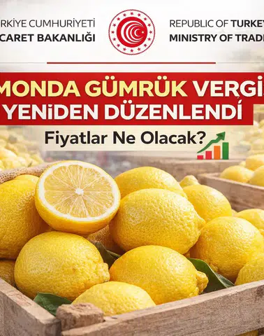 Limon İthalatında Vergi Kararı Değişti! Fiyatlar Ne Olacak?