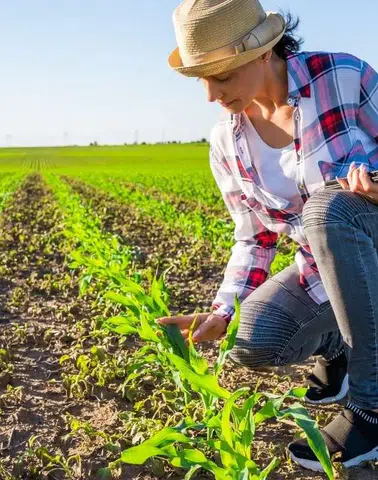 Çiftçiye büyük destek kapısı açıldı: Yüzde 70 hibe için başvurular başladı
