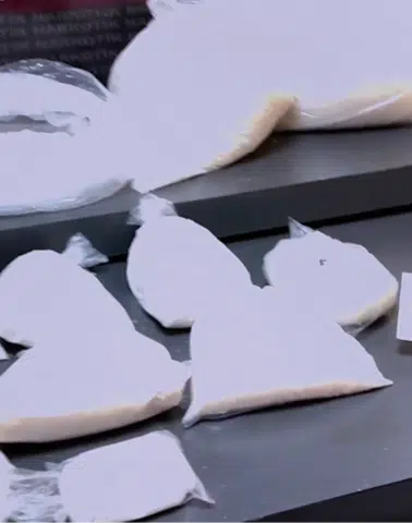 73 ilde 1 tonu aşkın uyuşturucu ele geçirildi