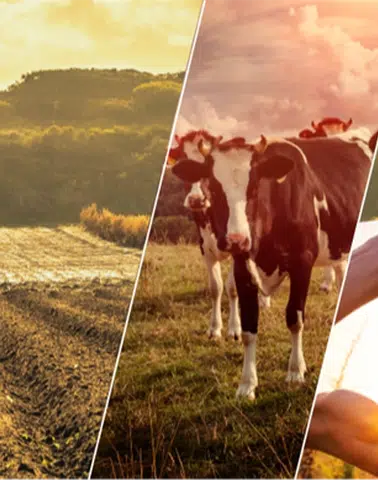 Çiftçilere 17,4 Milyar TL'lik Tarımsal Destek Ödemeleri Yapıldı!