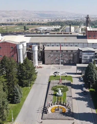 "Şeker Pancarı: Tarımın Temel Taşı"