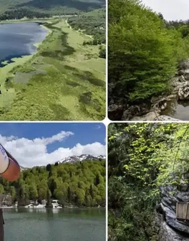 "Doğa Koruma ve Milli Parklar Uzmanlığı İçin Tez Şartı Getirildi"