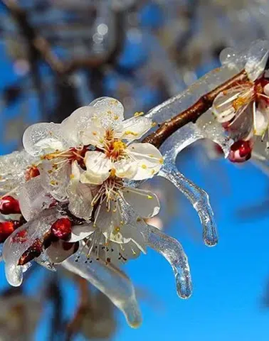 Uzmanlardan Acil Uyarı: Geceye Dikkat