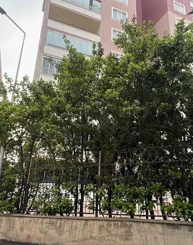 Soruşturma Derinleşti: Konutta İnceleme Yapıldı