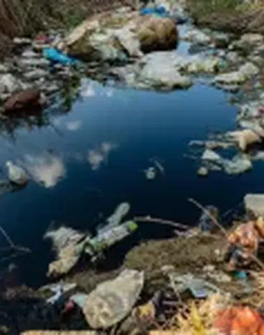 Prof. Dr. Ünüsan: Mikroplastik Sorununa Bitki Tabanlı Çözümler Umut Vadediyor, Ancak...