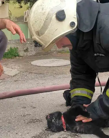 Yangında kedi kurtarıldı daire kullanılmaz hale geldi!