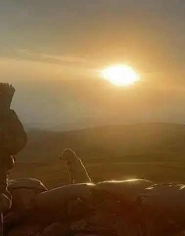 MSB'nin Son Haftalık Raporunda: Sınırda 270 Kaçak Göçmen Tutuklandı