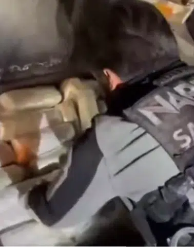 Şanlıurfa'da 20 kilogram skunk ele geçirildi