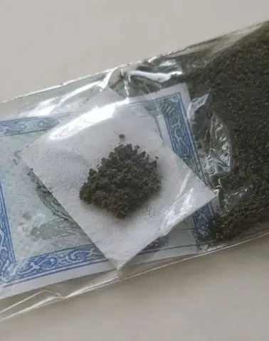 Maraş Otu Kısırlık Riskini Artırıyor