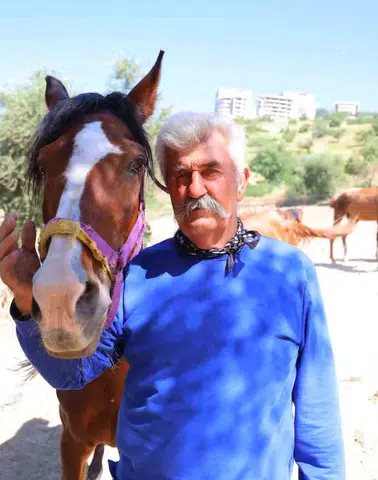 Kahramanmaraş'ta Kaçan Atlar Geceyi Birbirine Kattı!